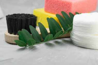 Brush for dry massage of the body, yellow and pink penza for the feet, cotton pads for the face, a green branch on a gray concrete background