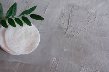 Cotton pads on a gray background, a green branch of a plant, the concept of skin cleansing, cosmetics, eco cosmetics, skin care