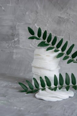 Cotton pads on a gray background, a green branch of a plant, the concept of skin cleansing, cosmetics, eco cosmetics, skin care