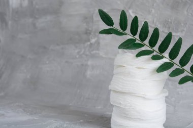 Cotton pads on a gray background, a green branch of a plant, the concept of skin cleansing, cosmetics, eco cosmetics, skin care