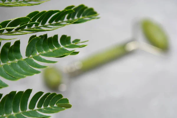 Green jade roller for facial massage and a green branch on a marble background. Accessories for home and personal care. Roller for the face against age wrinkles. Top view, flat lay.