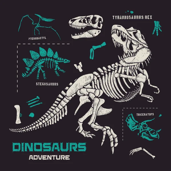 Dinosaurios Fósiles Huesos Ilustración Vectorial Dibujada Mano — Vector de stock