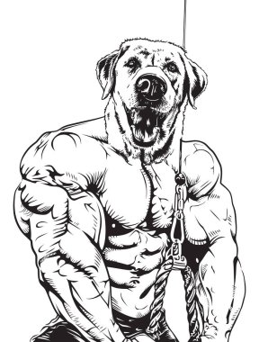 Eğitimde kaslı köpek vektör illüstrasyonu