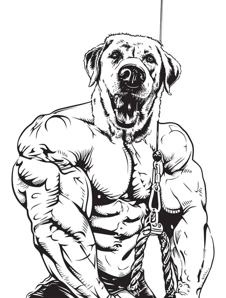 Ilustração Vetor Cão Muscular Treinamento — Vetor de Stock