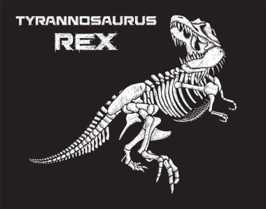 Tyrannosaurus rex iskelet el çizimi vektör çizimi siyah arkaplan üzerine 