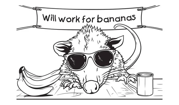 바나나에일 제공하는 선글라스를 주머니 — 스톡 벡터