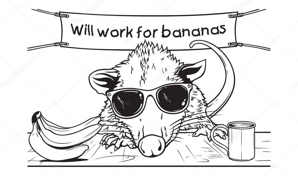 Possum wearing sunglasses offering work for banana