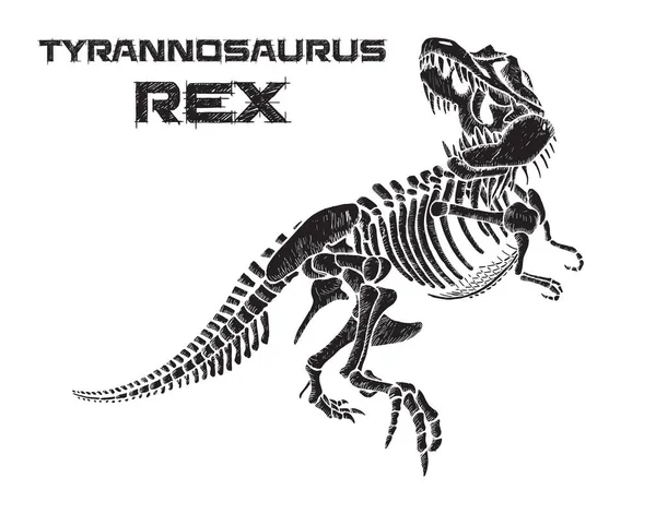 Tyrannosaurus Scheletro Rex Disegnato Mano Illustrazione Vettoriale Sfondo Bianco — Vettoriale Stock