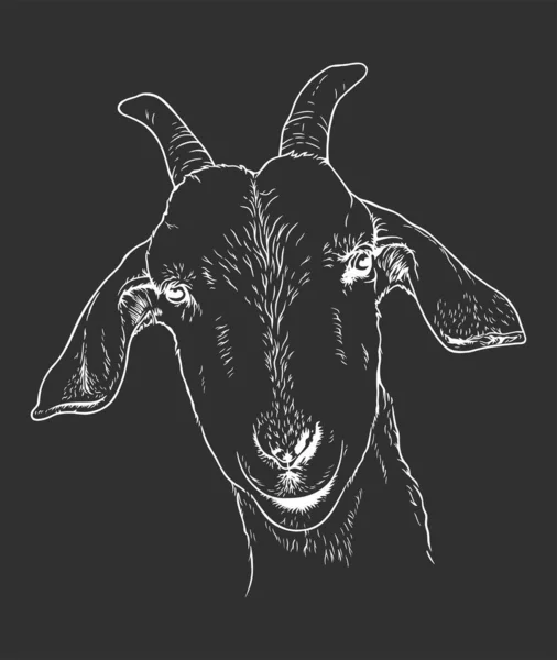 Goat Head Shot Line Art Illustration Black Background — Stock Vector