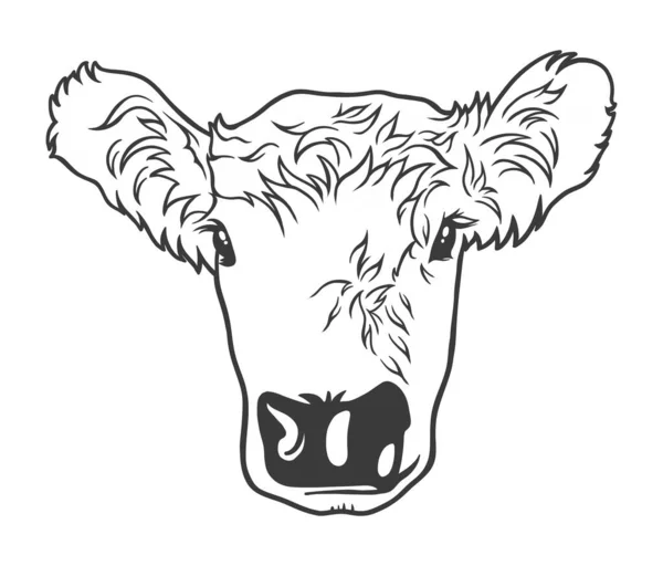 Cow Head Cartoon Vector Line Art Illustration — стоковый вектор