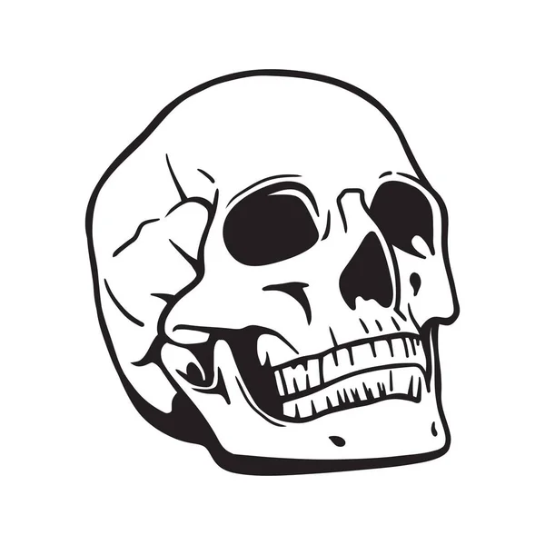 Hand Drawn Skull Black White Vector Illustration — Vetor de Stock