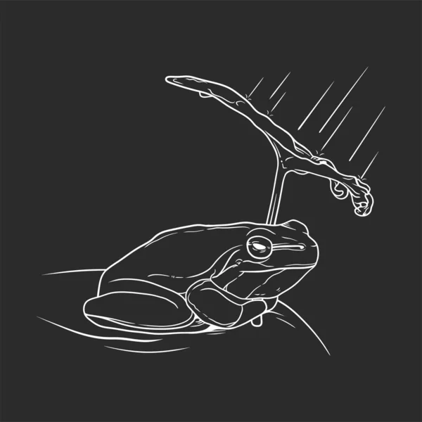 Жаба Захищається Від Дощу Використовуючи Листя Чорному Тлі — стоковий вектор