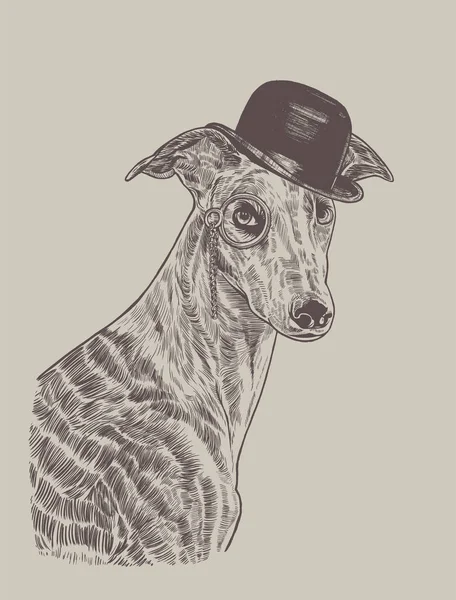 Spanish Galgo Wearing Funny Hat Monocle Hand Drawn Illustration — Stock Vector