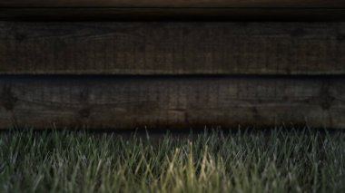 Ahşap ve çimen arka plan 3D illüstrasyon