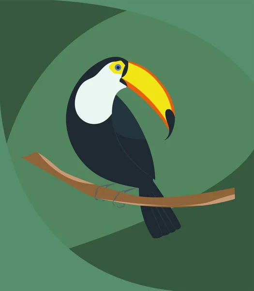 Toucan Bird Oiseau Tropical Avec Grand Bec Brillant Illustration Plate — Image vectorielle