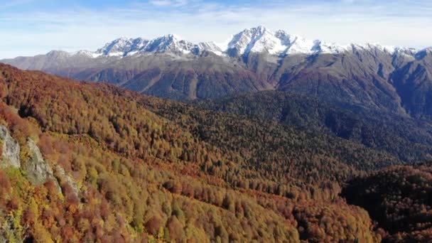 4K drón légi felvétel repül át ősszel színes vörösfenyők alpesi táj magas sziklás hegyek napsütéses napon tiszta kék ég — Stock videók