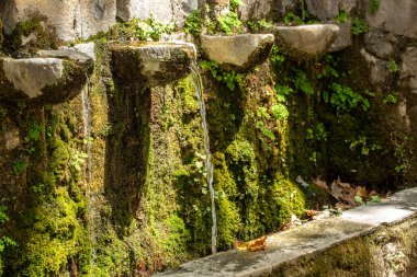 Doğadaki doğal kaynak suyu akışını kapat. Serinletici bir mola.