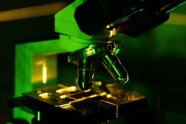 Profesyonel biyoküler laboratuvar mikroskobu ve yeşil neon ışığı olan bir odada izole edilmiş stereo göz merceği. Gerçek laboratuarda hakiki laboratuvar ekipmanları. 