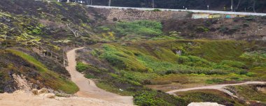 San Francisco, Kaliforniya 'da Lands End County Park, Amerika Birleşik Devletleri, Batı Sahili, sisli yaz sabahı. Güzel kıyı manzarası