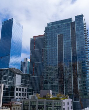 Şehirdeki şehir bahçesi, güneşli bir yaz öğleden sonra, silikon vadisinde, güzel çiçekler.