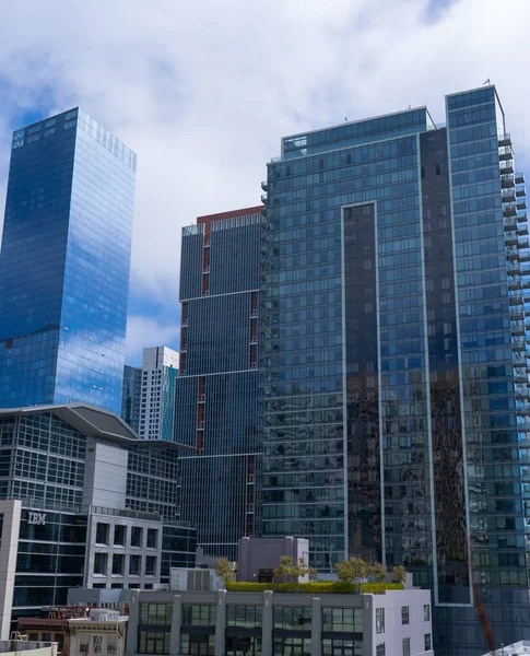 Şehirdeki şehir bahçesi, güneşli bir yaz öğleden sonra, silikon vadisinde, güzel çiçekler.