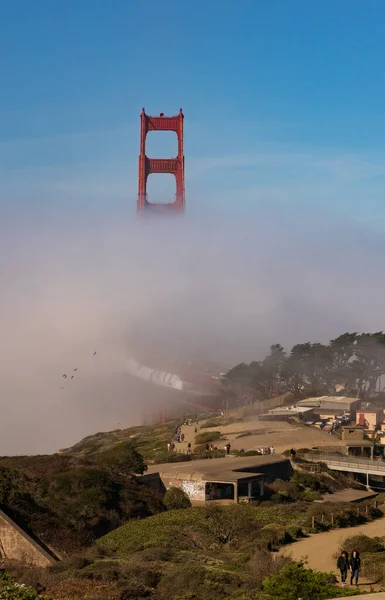 Widok Most Golden Gate Drzewa Cypress Parkingu Battery Godfrey — Zdjęcie stockowe