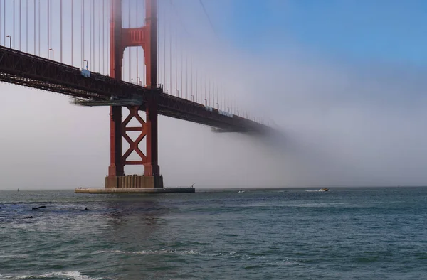 Widok Most Golden Gate Strony Fortu San Francisco Kalifornia Usa — Zdjęcie stockowe