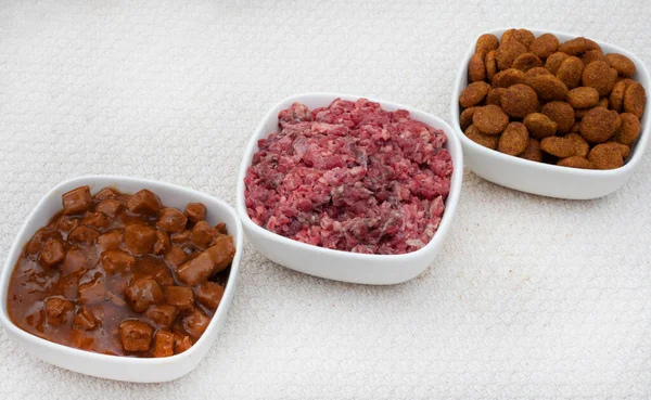 Выбор Блюд Собачьих Продуктов Фарш Сырыми Домашними Животными Кусочки Соуса — стоковое фото