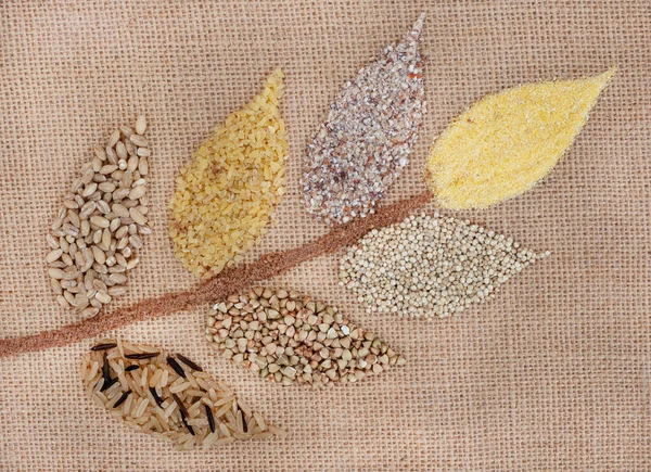 Selection of different and alternative healthy grains in the shape of a wheat flower
