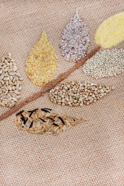 Selection of different and alternative healthy grains in the shape of a wheat flower