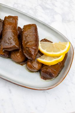 Stüdyoda limon dilimleri ile hafif tabakta Dolmades. Bol miktarda kopya alanı ile çekilmiş.