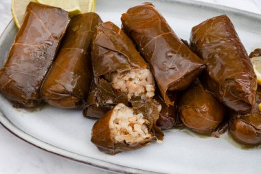 Stüdyoda limon dilimleri ile hafif tabakta Dolmades. Bol miktarda kopya alanı ile çekilmiş.