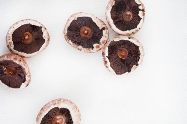 Portobello mantarlarının düz yatağı beyaz arkaplan ve kopyalama alanı