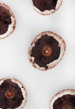Portobello mantarlarının düz yatağı beyaz arkaplan ve kopyalama alanı