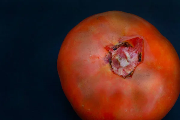 Legumes Danificados Apodrecidos Tomate Com Pele Danificada — Fotografia de Stock