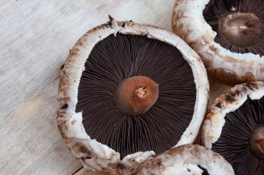 Portobello mantarlarının düz yatağı kopyalanmış ahşap yüzey üzerinde