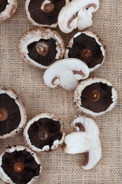 Portobello mantarlarının düz yatağı kopyalanmış kabarık çuval bezi yüzeyinde