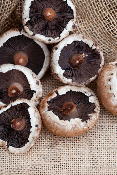 Collection Portobello Mushrooms Rustic Surface Copy Space — Stock Photo, Image
