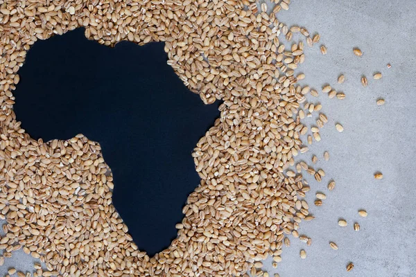 Afrika Hunger Und Knappheit Drohen Getreideknappheit Und Ernährungssicherheit Eine Welt — Stockfoto