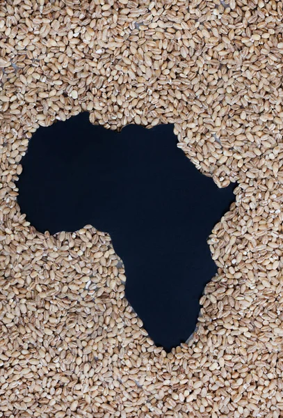 Africa as hunger and shortages loom. Grain shortage and food security, a world in crisis during war between Russia and Ukraine