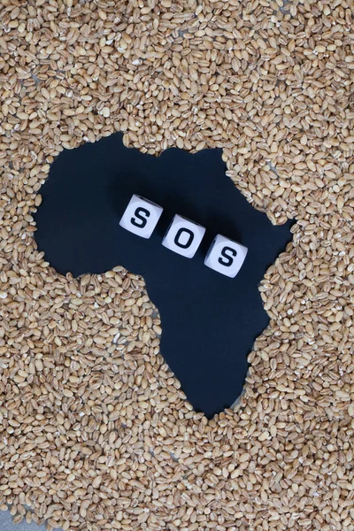 Africa as hunger and shortages loom. Grain shortage and food security, a world in crisis during war between Russia and Ukraine