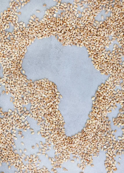 Africa as hunger and shortages loom. Grain shortage and food security, a world in crisis during war between Russia and Ukraine