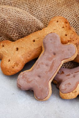 Kopyalama alanı olan tarafsız kırsal arkaplanda köpek muamelesi