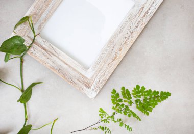 Sıkıntılı ahşap çerçeve ve kopyalama alanı olan botanik elementlerle benekli gri yüzey