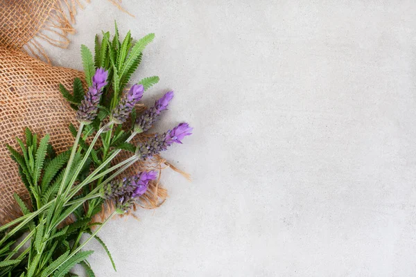 Çuval bezi ve taze lavanta ile benekli gri ve kopyalama alanı