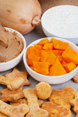 homemade organic dog biscuit and ingredients treats on grey surface with copy space