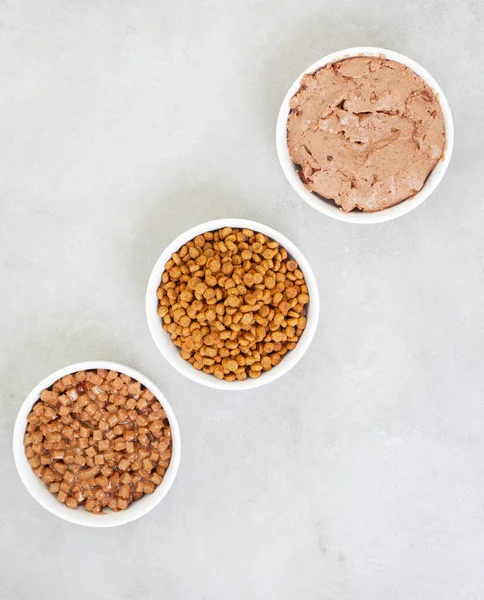 Different Types Cat Food Bowls Grey Surface Copy Space —  Fotos de Stock