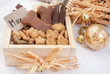 Köpekçik Noel kutusunu Noel çanları eşliğinde kırsal bir ortamda tedavi ediyor.