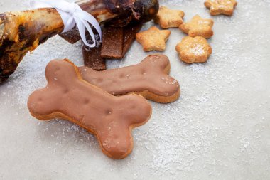 Köpek, bembeyaz kar ve fotokopi alanı ile bembeyaz gri üzerine yatar, sade ve rahat hisseder.
