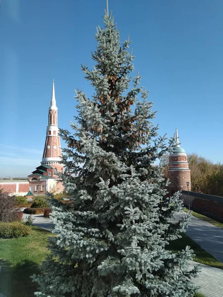 Små Torn Kloster Och Ett Pälsträ — Stockfoto